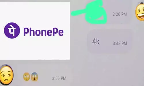 PhonePe: మేడమ్ రాక్స్ ఫోన్ పే షాక్స్.. నవ్వులు పూయిస్తున్న ట్రాన్సాక్షన్