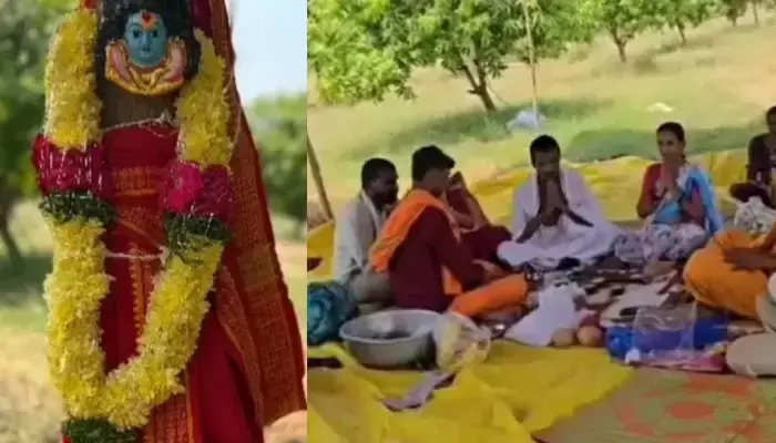 మామిడి చెట్లకు పెళ్లి... అక్కడ వింత ఆచారం