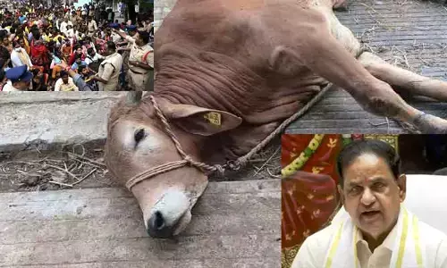 TTD News : తిరుపతి తొక్కిసలాట వెనుక ఆ నాయకుడు : టీటీడీ ఛైర్మన్ సంచలన ఆరోపణలు