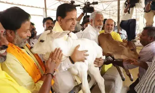 నా మీద ఉంటే ఆరోపించుకో కానీ టీటీడీని అంటే ఊరుకోను.. బీఆర్ నాయుడు ఫైర్