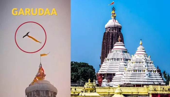జగన్నాథుడి జెండా ఎత్తుకెళ్లిన గద్ద.. పూరీ క్షేత్రంలో ఊహించని ఘటన.. దేనికి సంకేతం! జగన్నాథుడి జెండా ఎత్తుకెళ్లిన గద్ద.. పూరీ క్షేత్రంలో ఊహించని ఘటన.. దేనికి సంకేతం!