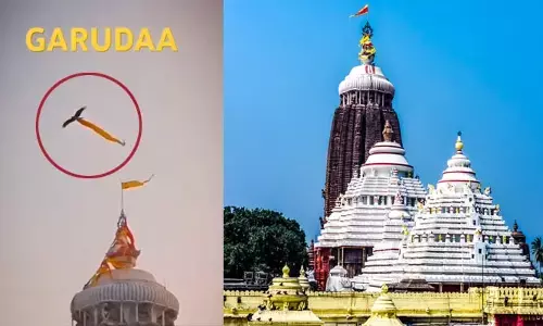 జగన్నాథుడి జెండా ఎత్తుకెళ్లిన గద్ద.. పూరీ క్షేత్రంలో ఊహించని ఘటన.. దేనికి సంకేతం!