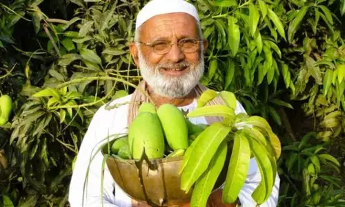 Viral News: మామిడి రాజా.. ఈ చెట్టు 300 రకాల కాయలను పుట్టించింది..!