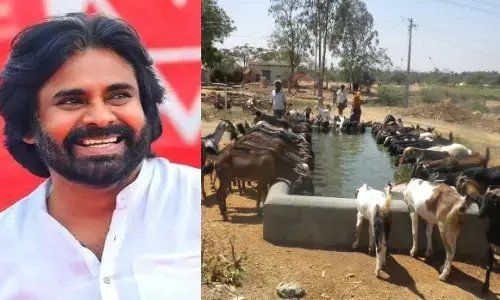 Viral News: పవన్ కళ్యాణ్ ను కదిలించిన ఫొటో.. వెంటనే కీలక నిర్ణయం