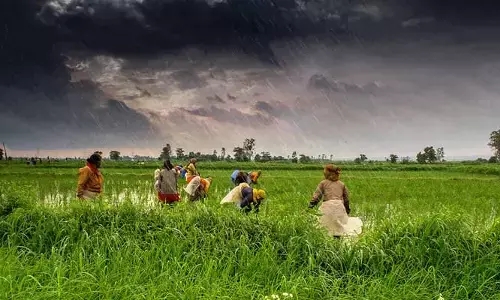 రైతులకు భారత వాతావరణ శాఖ శుభవార్త