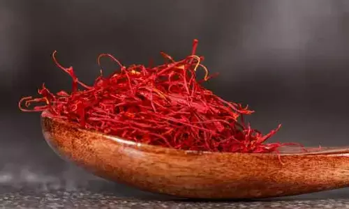 కోటీశ్వరులు మాత్రమే తినగల అత్యంత ఖరీదైన ఆహారపదార్థాలు ఇవే!