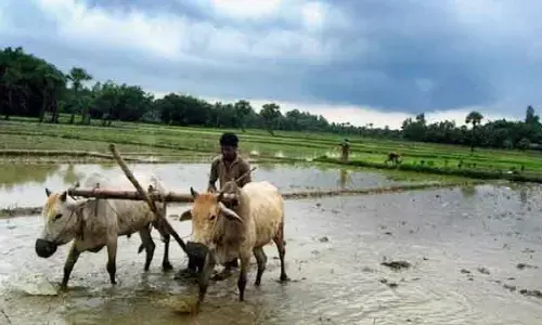 అన్నదాతలకు తీపికబురు.. రాష్ట్రానికి ముందుగానే నైరుతి రుతువపనాలు