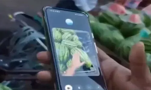 పుచ్చకాయ కొనేందుకు చాట్ జీపీటీ.. అబ్బబ్బ ఏం వాడకమయ్యా!