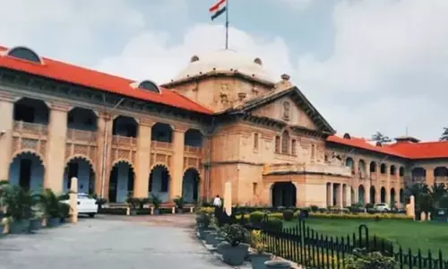 High Court: ప్రేమ వివాహాలపై అలహాబాద్ హైకోర్టు సంచలన వ్యాఖ్యలు