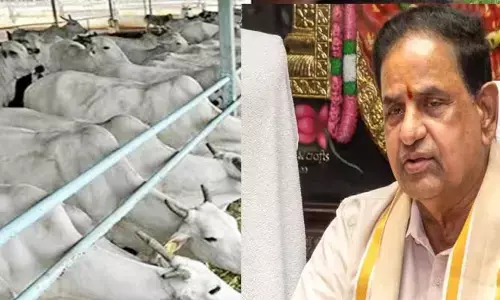 ‘గత ఐదేళ్లలో గోవుల గడ్డిని కూడా తినేశారు’.. టీటీడీ ఛైర్మన్ షాకింగ్ కామెంట్స్