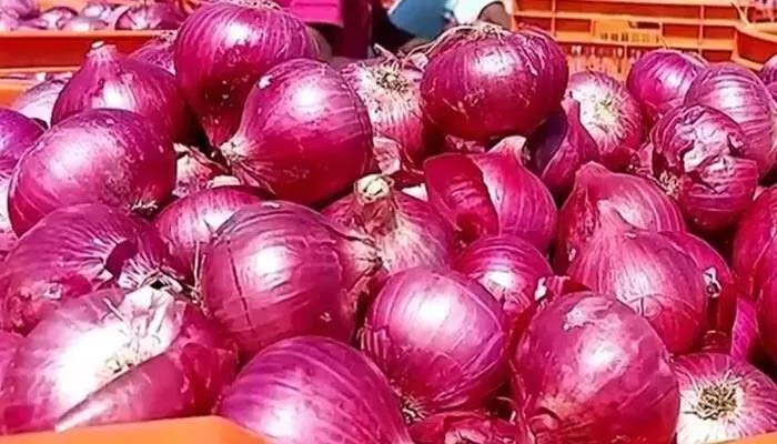 సామాన్యులకు గుడ్ న్యూస్.. భారీగా తగ్గిన ఉల్లి ధరలు.. కేజీ ఎంతంటే? సామాన్యులకు గుడ్ న్యూస్.. భారీగా తగ్గిన ఉల్లి ధరలు.. కేజీ ఎంతంటే?