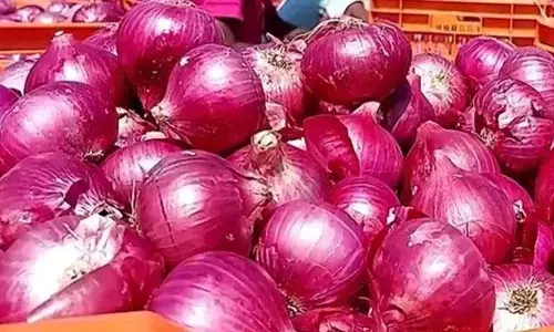 సామాన్యులకు గుడ్ న్యూస్.. భారీగా తగ్గిన ఉల్లి ధరలు.. కేజీ ఎంతంటే?