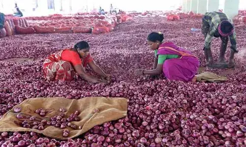 భారీగా పతనమైన ఉల్లి ధరలు.. కన్నీరుమున్నీరవుతున్న రైతులు