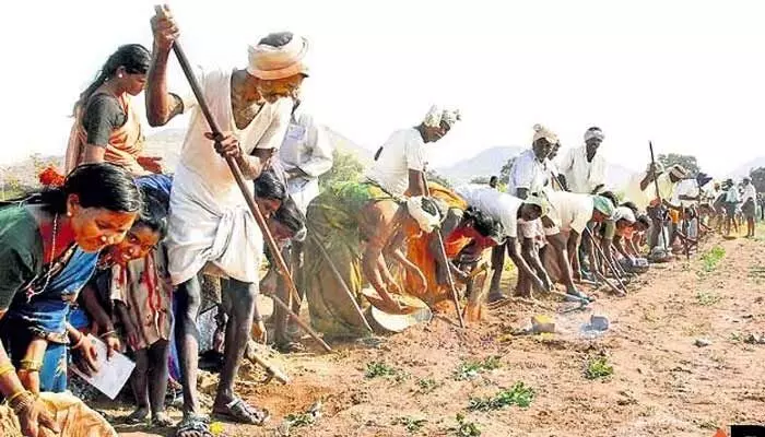 ఉపాధి హామీ కూలీలకు బిగ్ షాక్.. పని దినాలను తగ్గించిన కేంద్రం ఉపాధి హామీ కూలీలకు బిగ్ షాక్.. పని దినాలను తగ్గించిన కేంద్రం