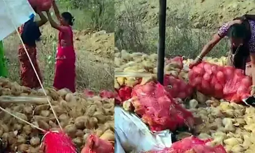 కొబ్బరికాయల వాహనం బోల్తా.. ఎగబడి సంచుల్లో ఎత్తుకెళ్లిన స్థానికులు.. ఎక్కడంటే?