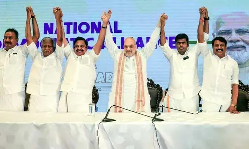 స్నేహం చిగురించింది.. ఆకు చాటు కమలం!