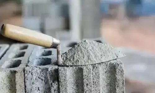 Cement Price: ఈ ఏడాది 2-4 శాతం పెరగనున్న సిమెంట్ ధరలు: క్రిసిల్