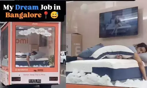 viral video : ఓర్నీ.. లక్ (Luck) అంటే నీదే పో..! AC వాహనంలో నిద్రపోతూ ఊరంతా తిరగడమే అతని ఉద్యోగమట!