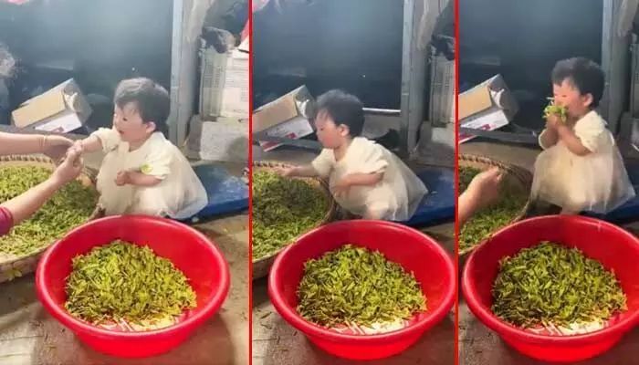 Viral video : పొట్టిదే కానీ.. గయ్యాళిగంపరోయ్..! ఏం చేసిందో మీరే చూడండి!! Viral video : పొట్టిదే కానీ.. గయ్యాళిగంపరోయ్..! ఏం చేసిందో మీరే చూడండి!!