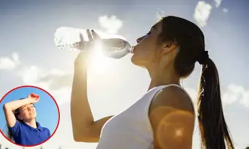 Summer Effect : భానుడి భగ భగలు.. వడదెబ్బకు గురి కాకూడదంటే..?
