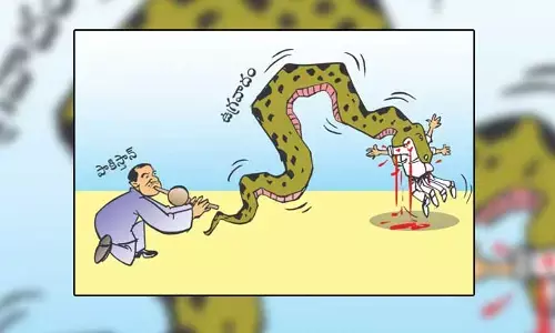 Disha Cartoon: ఉగ్రవాదులను పెంచి పోషిస్తూ.. అమాయకుల్ని బలితీసుకున్న పాక్