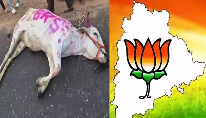 డాబు కోసం మూగజీవిని హించించిన బీఆర్ఎస్ దున్నపోతులు.. బీజేపీ తెలంగాణ సంచలన ట్వీట్ డాబు కోసం మూగజీవిని హించించిన బీఆర్ఎస్ దున్నపోతులు.. బీజేపీ తెలంగాణ సంచలన ట్వీట్