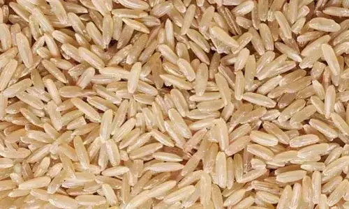 Brown Rice : ముడి బియ్యం తింటున్నారా..? అయితే మీకు మూడినట్టే