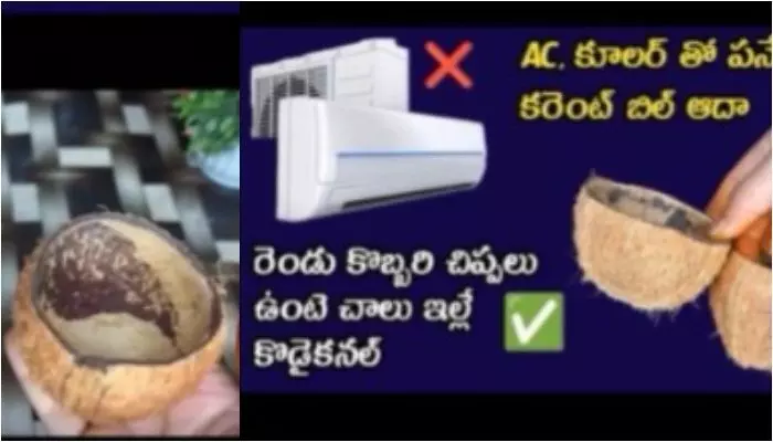 Viral Video: మహాతల్లి.. రెండు కొబ్బరి చిప్పలతో ఈ ఏడాది ఏకంగా రూ. 50 వేలు మిగిల్చింది.. ఈ వైరల్ వీడియో చూస్తే షాకే Viral Video: మహాతల్లి.. రెండు కొబ్బరి చిప్పలతో ఈ ఏడాది ఏకంగా రూ. 50 వేలు మిగిల్చింది.. ఈ వైరల్ వీడియో చూస్తే షాకే