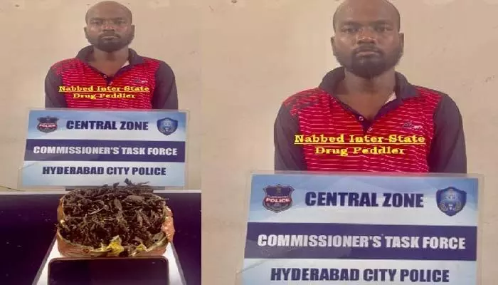 ఫాస్ట్ ఫుడ్ సెంటర్ లో దాగున్న గంజాయి కథ.. ఫాస్ట్ ఫుడ్ సెంటర్ లో దాగున్న గంజాయి కథ..