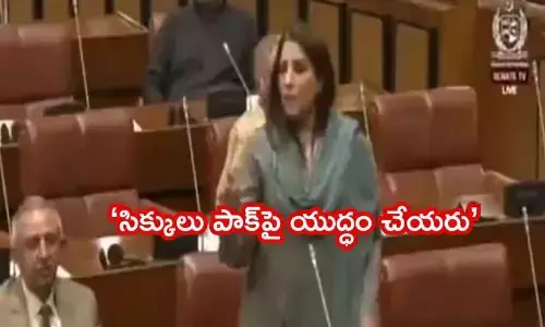 బాబ్రీ మసీదుకు పునాది మా సైన్యమే వేస్తుంది.. పాక్ సెనెటర్ సంచలన వ్యాఖ్యలు!