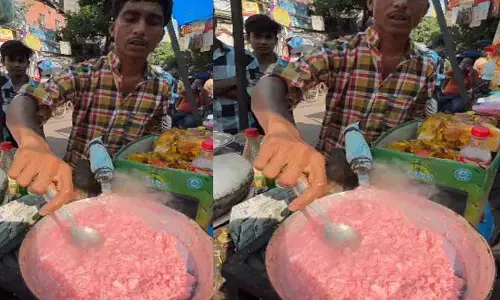 Viral video: ఇదేం ఫుడ్ రా.. కడుపు నింపడానికా.. కాటికి పంపడానికా..!
