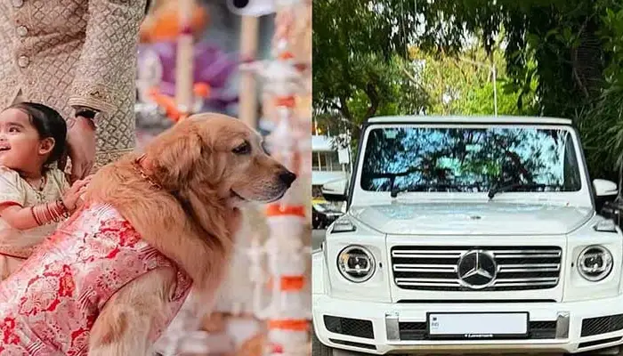 అంబానీ కుక్క రేంజ్ రూ.3 కోట్లు.. స్పెషల్ గా బెంజ్ కారు కూడా !