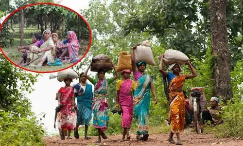 Health: అటవీ ప్రాంతాల్లో నివసించే వారికి క్యాన్సర్ రిస్క్ చాలా తక్కువ.. ఎందుకంటే..?
