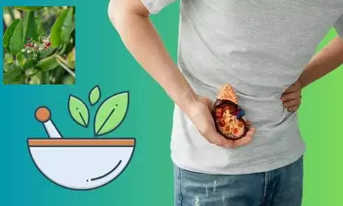 Uric acid : అధిక యూరిక్ యాసిడ్‌తో అవస్థలా.. ఆయుర్వేదిక్ మూలికలతో చెక్ పెట్టండిలా?