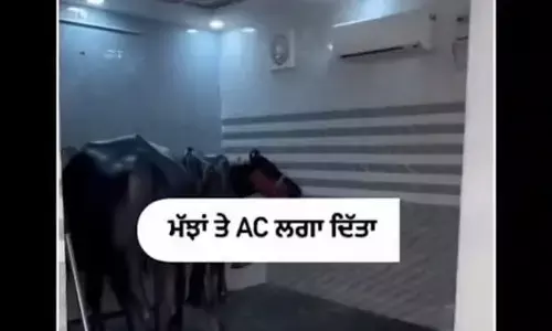 Video Viral : గేదెలకు ఏసీ రూమ్స్.. ఈ రైతు తెలివికి ఫిదా కావాల్సిందే.. ఈ పనితో ఏకంగా సంపాదన ఇంత పెరుగుతుందా.. అసలు ఎలా??