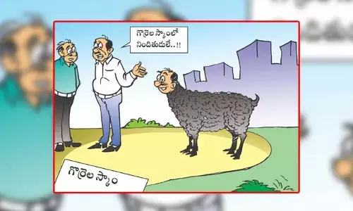 Disha Cartoon: గొర్రెల స్కామ్ నిందితుడి ఆకారం