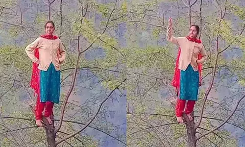Viral video: నీ రీల్స్ పిచ్చి తగలేయ్యా.. అక్కడికి ఎలా వెళ్లావే తల్లి? చెట్టు చివరి అంచులపై డ్యాన్స్!