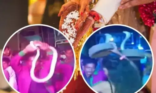 Viral News: నిజమైన నాగు పాములతో నాగిని డ్యాన్స్.. తాగిన మత్తులో రచ్చ రచ్చ జేసిండ్రు పో..