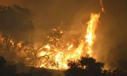 Fire Accident : వరంగల్ లో భారీ అగ్నిప్రమాదం... కాలి బూడిదైన 30 ఎకరాల పంట