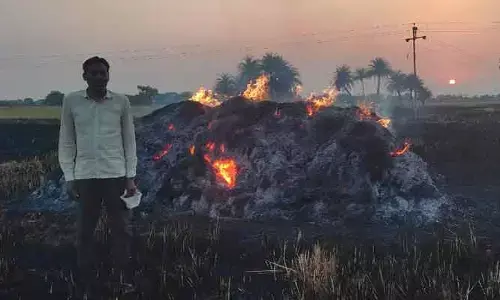 అగ్ని మంటలకు బాస్మతి వరి కుప్పలు దగ్ధం