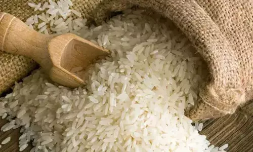 Basmati Rice: భారత్-పాక్ ఉద్రిక్తతల మధ్య భారీగా పెరిగిన బాస్మతి బియ్యం ధరలు