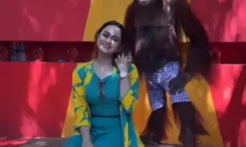 అమ్మాయి కనిపించేసరికి చింపాంజీ కూడా ఆపుకోలేక పోయింది.. అబ్బాయిలు కుళ్లుకునేలా ముద్దులు, హగ్గులతో పిచ్చెక్కించింది.. కరువులో ఉందేమో (వీడియో)