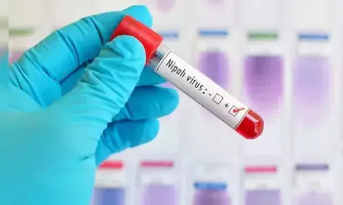 Nipah: కేరళలో మరోసారి నిఫా వైరస్ కలకలం.. ఓ మహిళకు పాజిటివ్