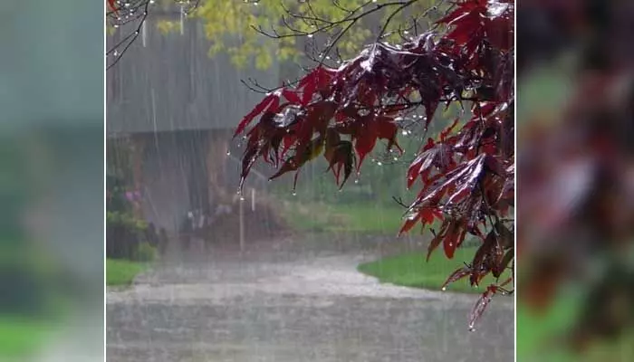 Rains: నేడు, రేపు రాష్ట్రంలో భారీ వర్షాలు.. పలు జిల్లాలకు ఎల్లో అలర్ట్ జారీ Rains: నేడు, రేపు రాష్ట్రంలో భారీ వర్షాలు.. పలు జిల్లాలకు ఎల్లో అలర్ట్ జారీ