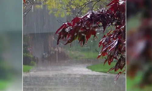 Rains: నేడు, రేపు రాష్ట్రంలో భారీ వర్షాలు.. పలు జిల్లాలకు ఎల్లో అలర్ట్ జారీ