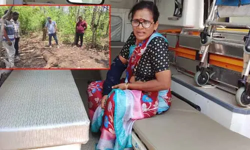 అడవి పంది దాడి.. ఇద్దరికీ తీవ్ర గాయాలు