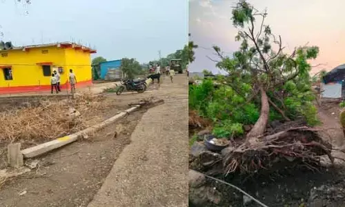 గాలివాన బీభత్సం..! నేలకొరిగిన చెట్లు విద్యుత్ స్తంభాలు