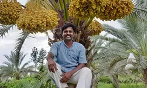 ఇస్రోలో సైంటిస్టు ఉద్యోగం వదిలేసి ఖర్జూరం సాగు చేస్తున్నాడు.!