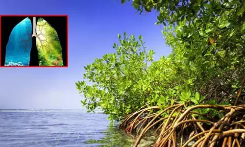 Marine oxygen : చెట్లు మాత్రమే ఆక్సిజన్ ఇస్తాయనుకోకండి..! అంతకు మించి ఇవి కూడా..!