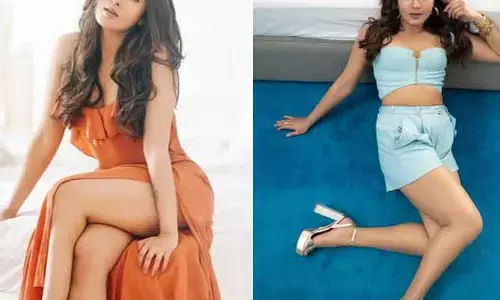 డైరెక్టర్స్ నన్ను సరిగ్గా వాడుకోవట్లేదు.. ఫీల్ అవుతున్నానంటూ ఐకాన్ స్టార్ బ్యూటీ సంచలన వ్యాఖ్యలు